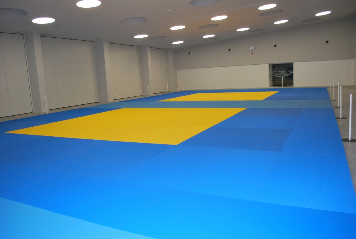 Protection murale pour dojo de judo